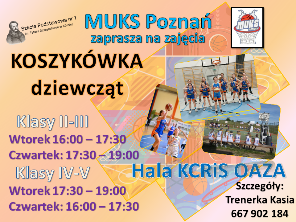 Koszykówka