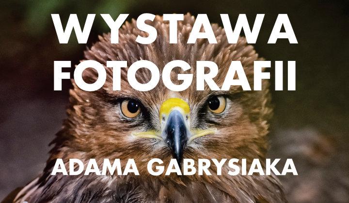 Wystawa fotografii