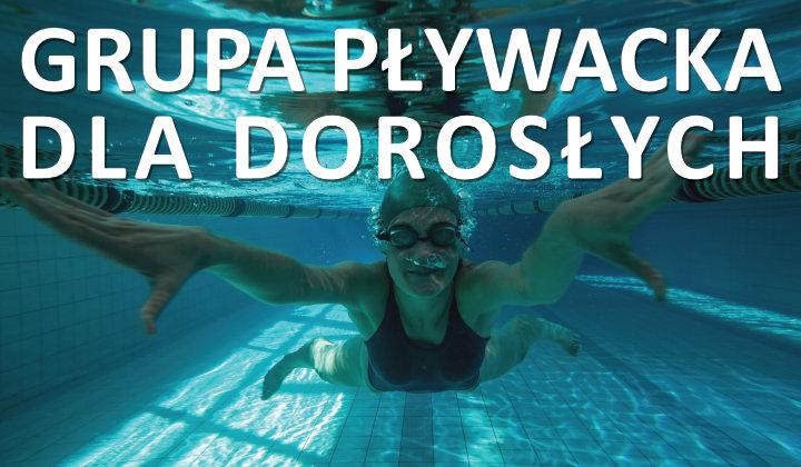 Grupa pływacka dla dorosłych